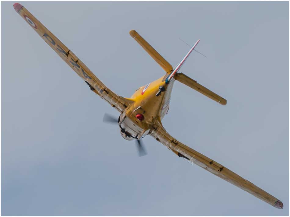 Morane Saulnier MS733 Alcyon